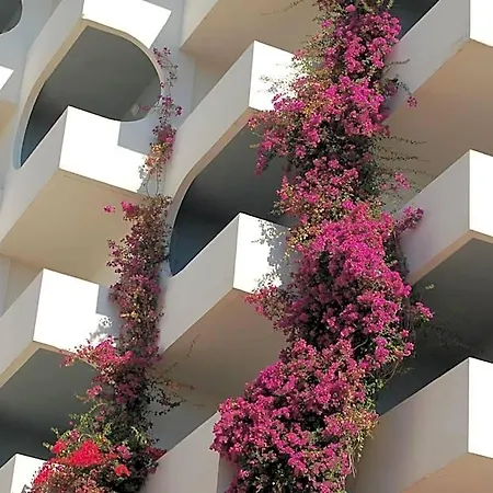 Bg Pamplona 4* Playa de Palma (Mallorca)