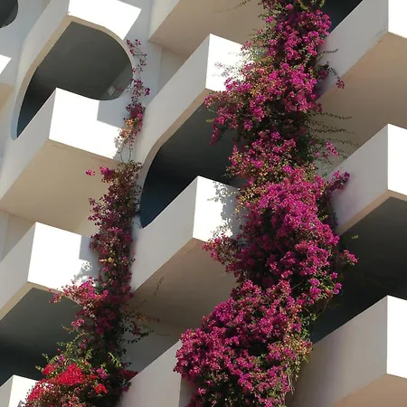 Bg Pamplona Готель 4*